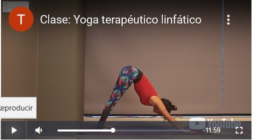 Curso Yoga - Videos Tutoriales